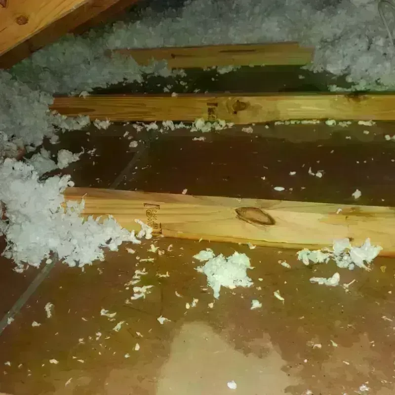 Attic Water Damage in Shelburne, MA